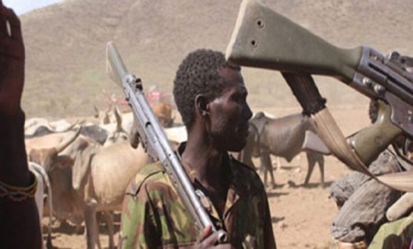 Herdsmen kill 10 in fresh Plateau attack
