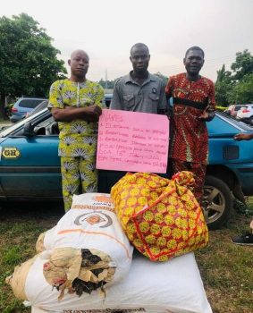 NURTW chairman, 3 others nabbed for drug trafficking in Ondo, Benue