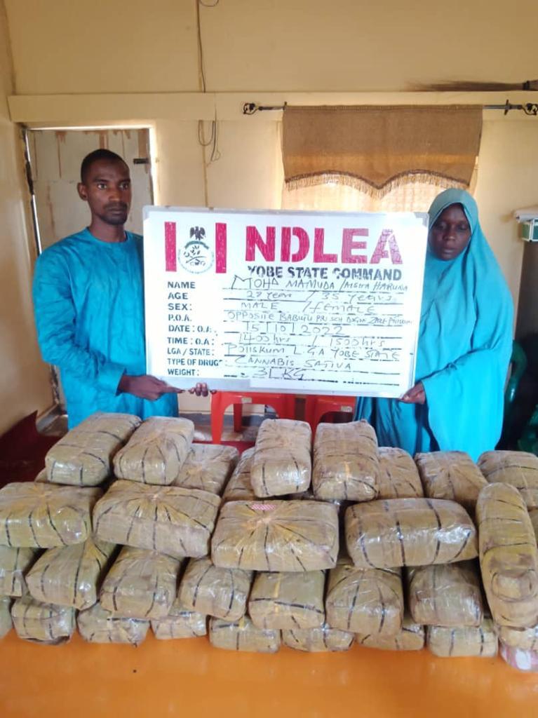 Pregnant woman, female undergraduate, and 26 others arrested with tons of illicit drugs in NDLEA raids across FCT, 12 states
